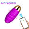 IPX7 αδιάβροχοι δονητής αυγών 200g Bluetooth/App αυγό φύλων τηλεχειρισμού